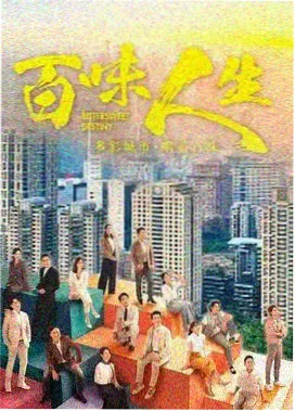 都市悬疑剧雾港回声封面